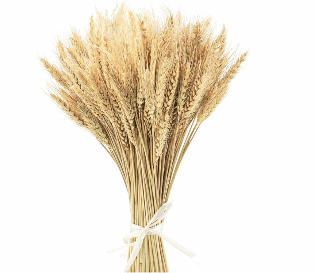 how to decorate for Halloween Wheat stalk