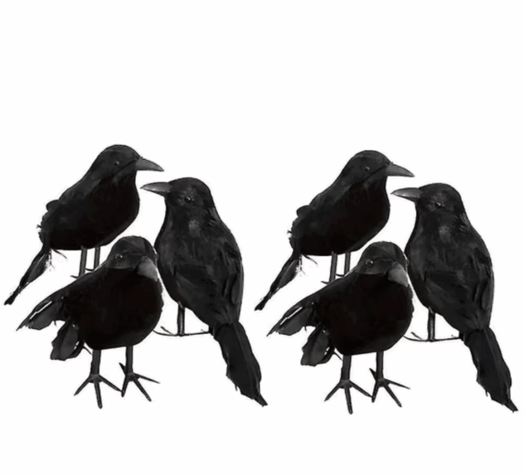 how to decorate for Halloween A blackbird decor.