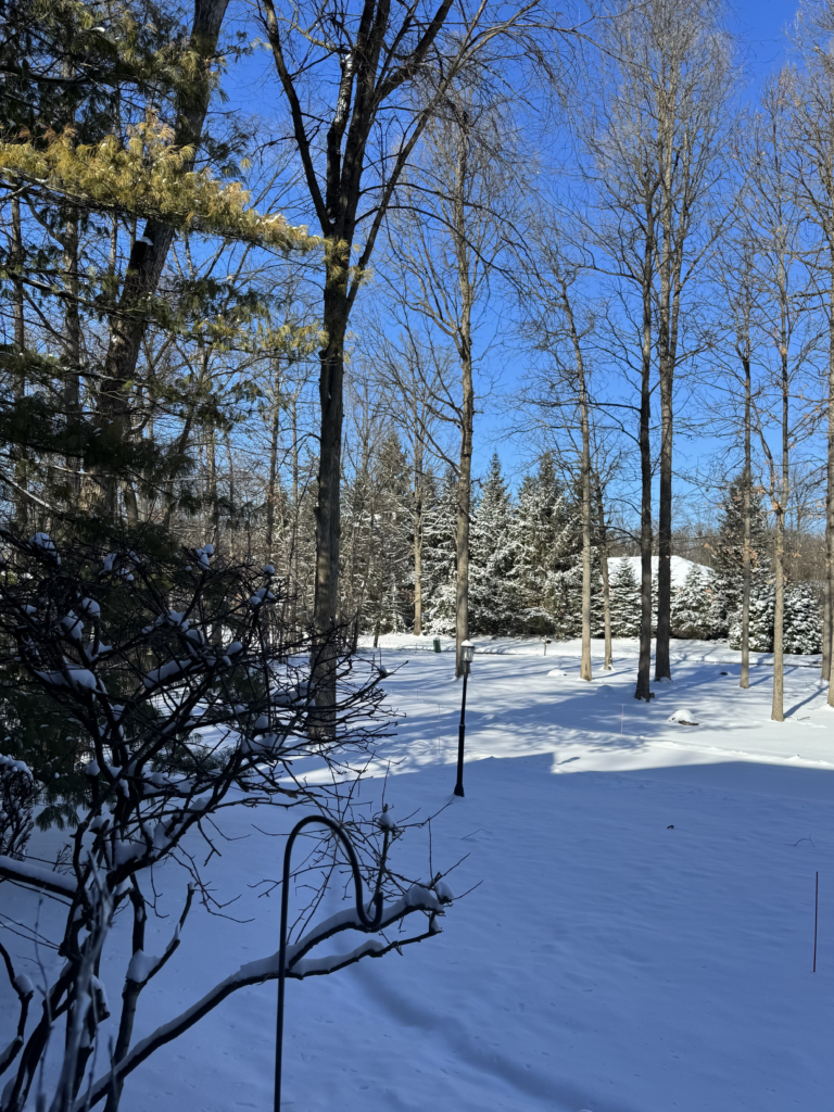 Boot Season Boot season: Sunny winter outdoor scene with snow-covered ground.